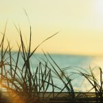 CCTV证券资讯频道实时直播:洞悉市场脉搏,把握投资先机 bjx1gfp