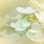 CCTV经济频道在线直播:财经资讯与市场动态实时放送 z75hrd