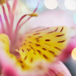 《邯郸新闻》直播:第一时间掌握邯郸最新动态 b4rre9