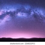 《醉玲珑》高清直播在线观看完整版 myviz