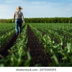 《金牌调解》在线直播观看:情感纠纷调解现场全纪录 pt32c4i