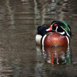 《都市快报》现场直播直击城市热点事件 tckg5u1